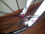 20130801_160737.jpg