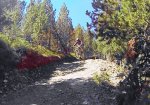 vlcsnap-2013-08-01-22h32m11s165.jpg
