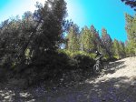 vlcsnap-2013-08-01-22h36m40s118.jpg