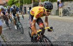 denmark13st2-yellow.jpg