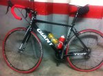 Giant TCR Compact.jpg