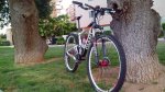 IMG_20130802_201648.jpg