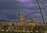 zamora 1.jpg