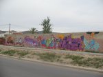 IMG_7048.jpg