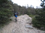 IMG_8813.JPG
