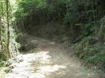 PICT1598 (Medium).JPG