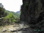 PICT1603 (Medium).JPG