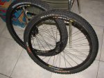 DSC00669.JPG