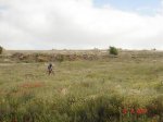 DSC01774.jpg