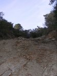 jeep4.JPG