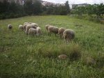 Alcora 015 [Resolucion de Escritorio].jpg