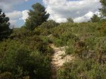 Alcora 012 [Resolucion de Escritorio].jpg