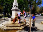DSCF1622.JPG