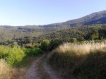 2013-08-04 08.25.39.jpg