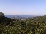 2013-08-04 08.25.44.jpg