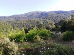 2013-08-04 08.57.07.jpg