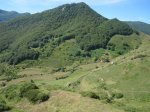 IMG_1896.JPG
