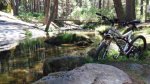 camino_pesquer&#237;as_segovia.jpg