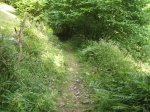 IMG_4013.JPG
