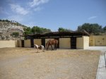 DSC00472.JPG