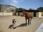 DSC00474.JPG