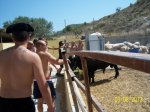 000_0050.jpg