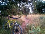 bici70.jpg