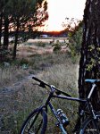 DSCN4731.JPG