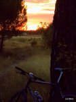 DSCN4732.JPG