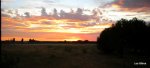 DSCN4734.JPG