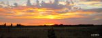 DSCN4736.JPG