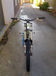 devinci 3.jpg