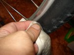 DSC04110.jpg