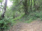 IMG_0714.JPG