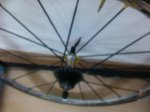 IMG_20130807_182108.jpg