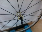 IMG_20130807_182133.jpg
