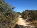 RUTA 002.jpg