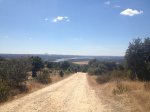 RUTA 016.jpg