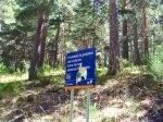 Foto16.JPG