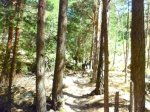 Foto18.JPG