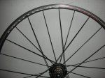 DSCN4043.JPG
