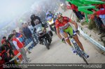 nibali.jpg