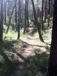 ImageUploadedByTapatalk1376143716.482189.jpg