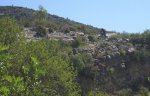 IMG_2664.jpg