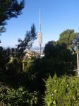 2013-08-11 09.18.47.jpg