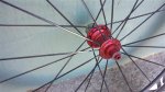 20130810_184218.jpg