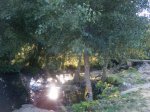IMG-20130812-WA0024.jpg
