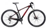 XtC_Composite_29er_2.jpg