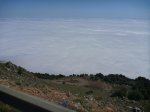 P1140792_800x600.jpg