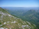 P1130991_800x600.jpg
